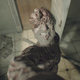 Image for article titled Everyone In Resident Evil 7 Has Amazing Teeth